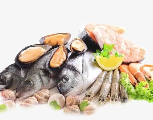 进口科摩罗食用水生动物清关和检疫要求 | 博隽进口报关官方网站